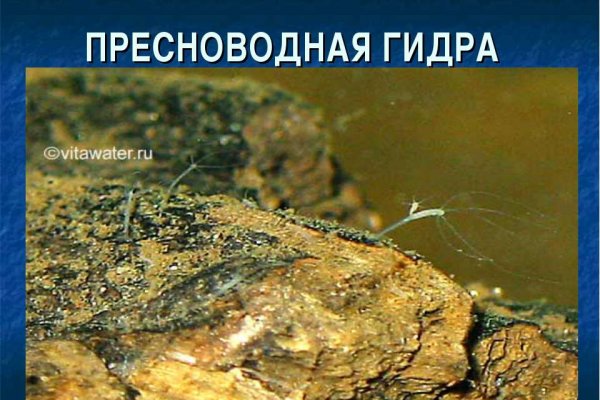 Сайты продаж наркотиков
