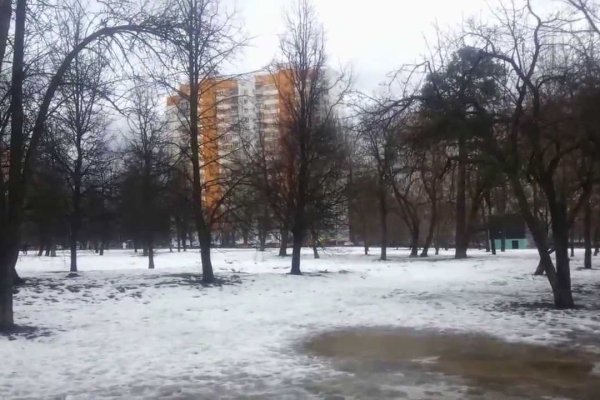 Значок кракена маркетплейса